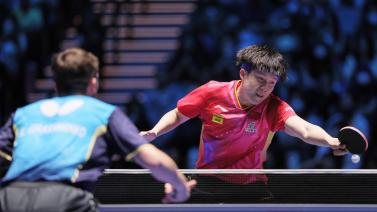 双重魅力的 双重魅力的